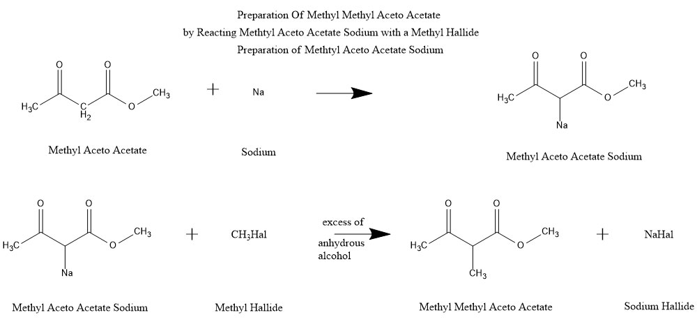 Preparation of Methyl Methyl Aceto Acetate The Methyl Hallide Method